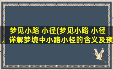 梦见小路 小径(梦见小路 小径，详解梦境中小路小径的含义及预示)